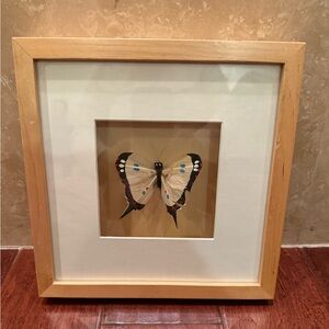 Framed Butterfly Art with Natural Wood Frame
